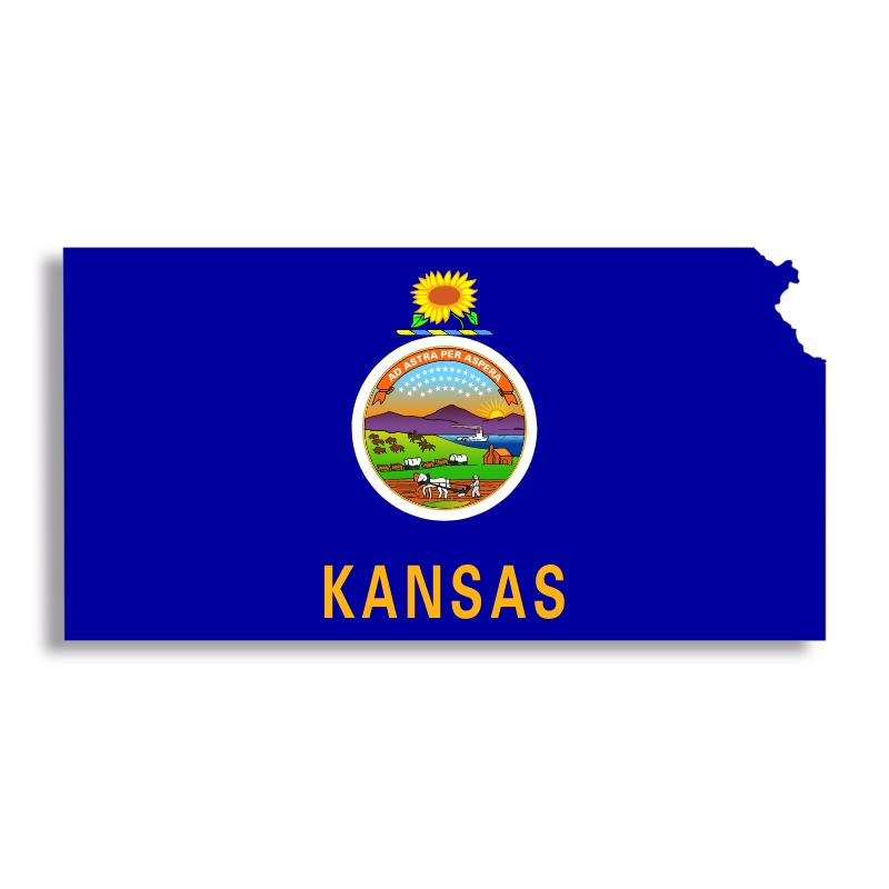 Top Medical Billing Companies in Kansas