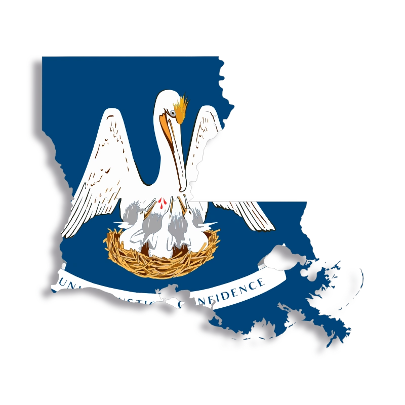 Top Medical Billing Companies in Louisiana